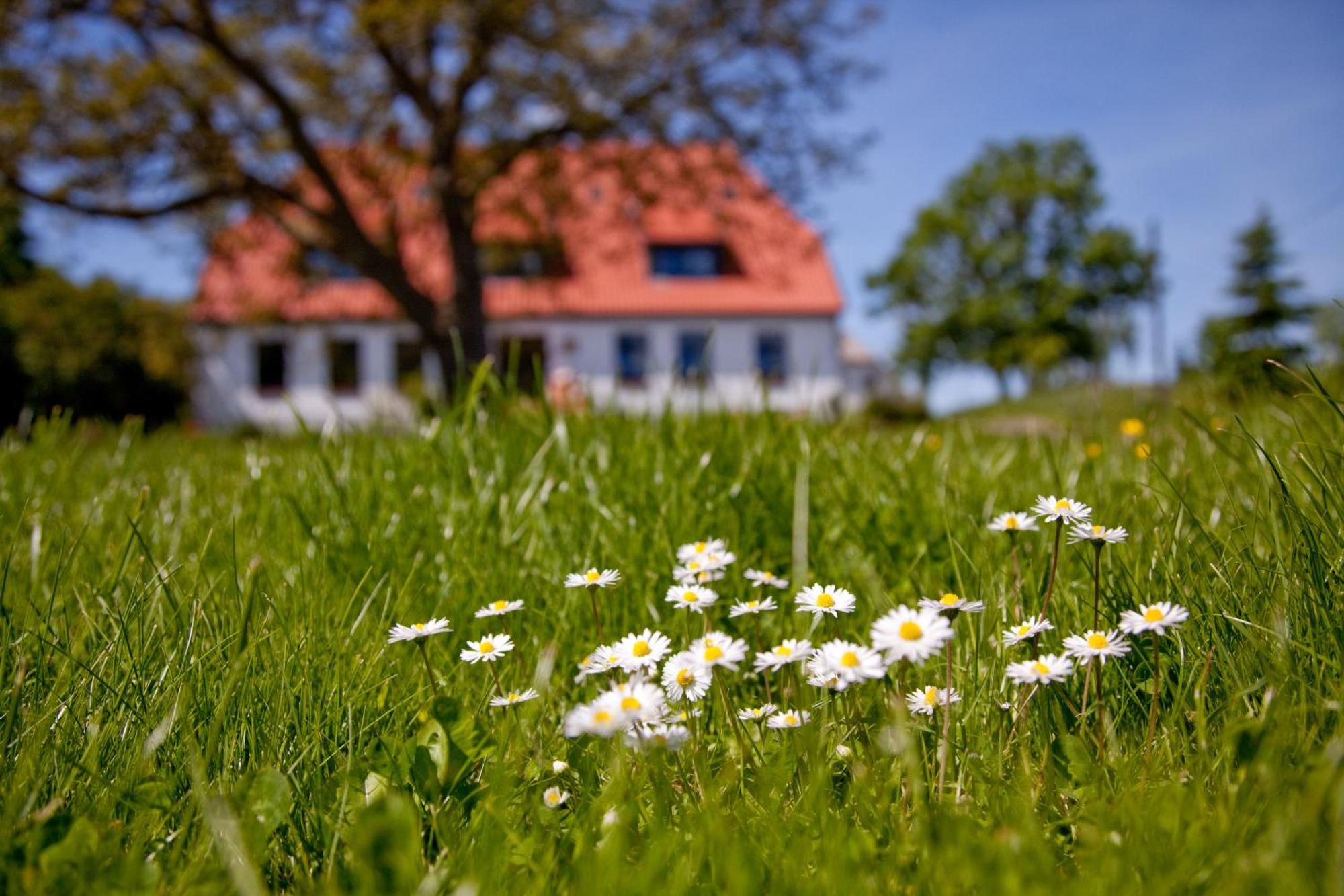 Gutshaus Ketelshagen 호텔 푸트버스 외부 사진