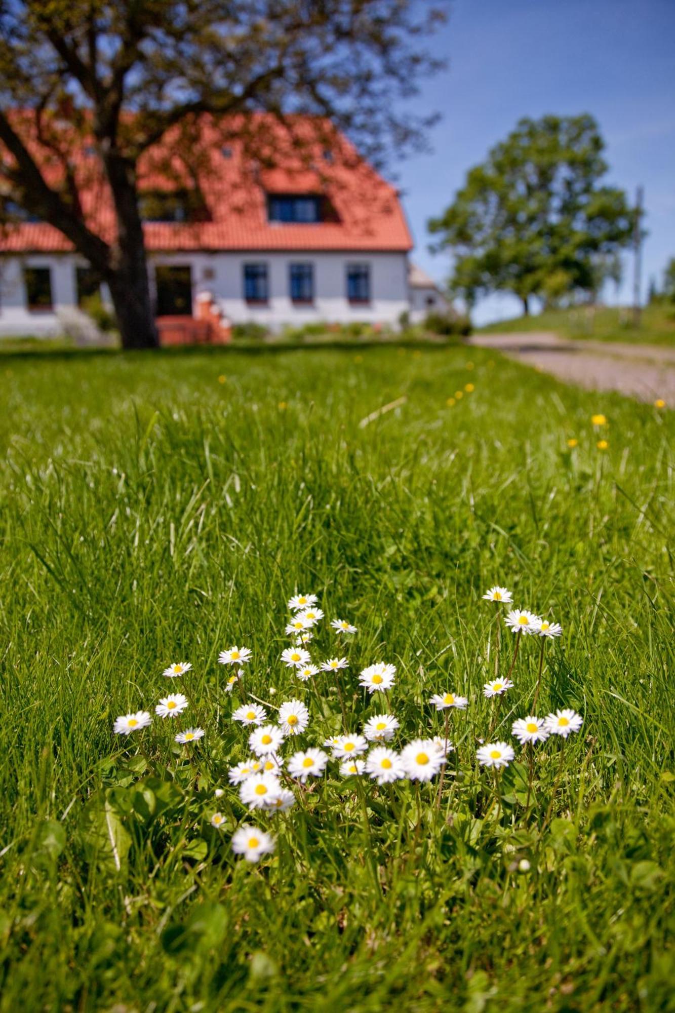 Gutshaus Ketelshagen 호텔 푸트버스 외부 사진