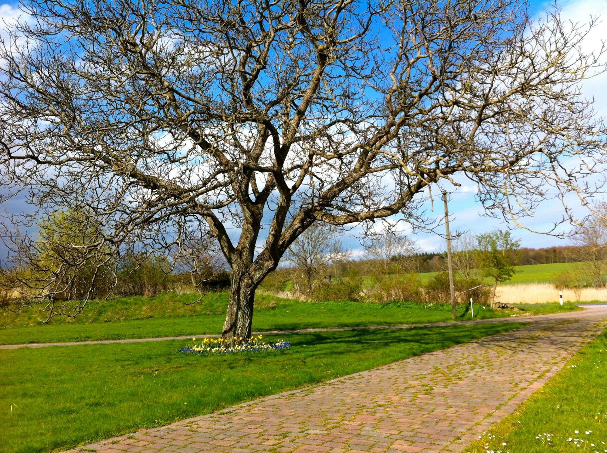 Gutshaus Ketelshagen 호텔 푸트버스 외부 사진